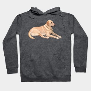 Yellow Labrador Hoodie